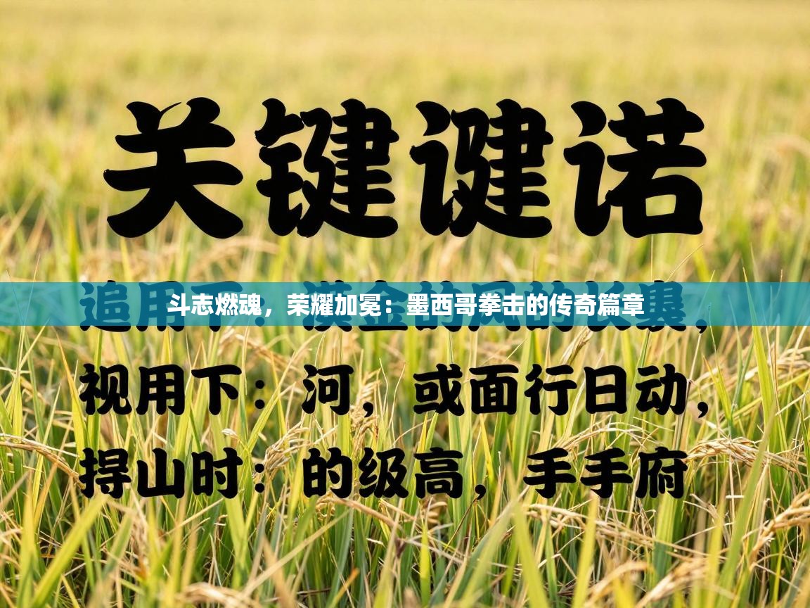 斗志燃魂，荣耀加冕：墨西哥拳击的传奇篇章  第1张