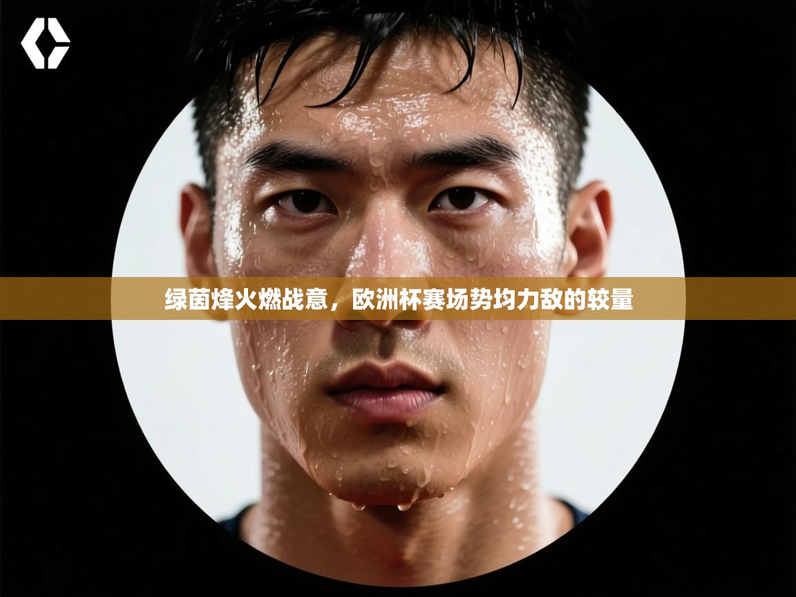 绿茵烽火燃战意，欧洲杯赛场势均力敌的较量  第1张
